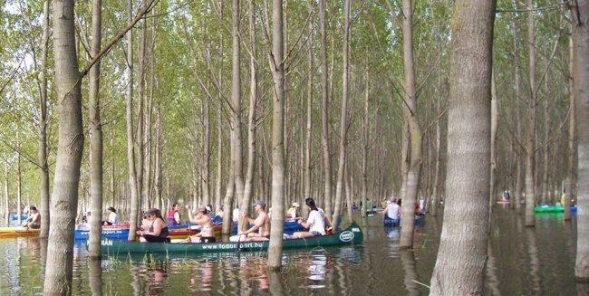Családi túra a Bodrog-ártéren