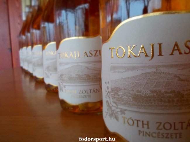 Családi vízitúra a Bodrogon